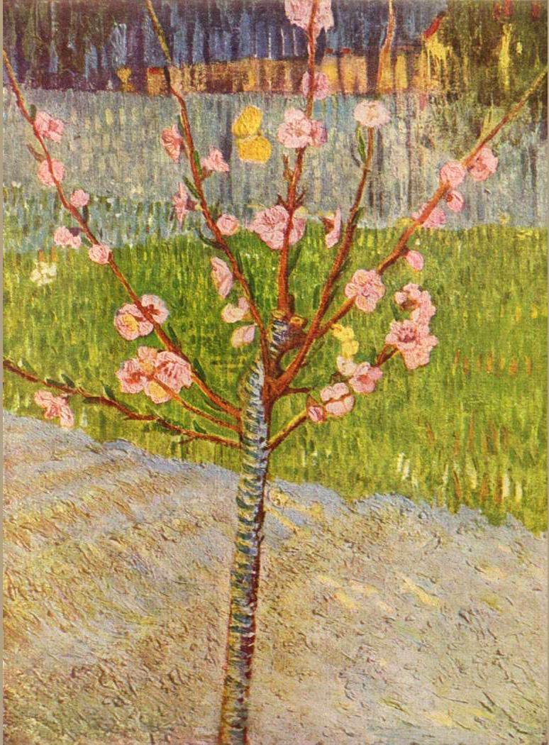 Vincent van Gogh Peach Tree in Blossom